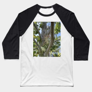 Airplant Baseball T-Shirt